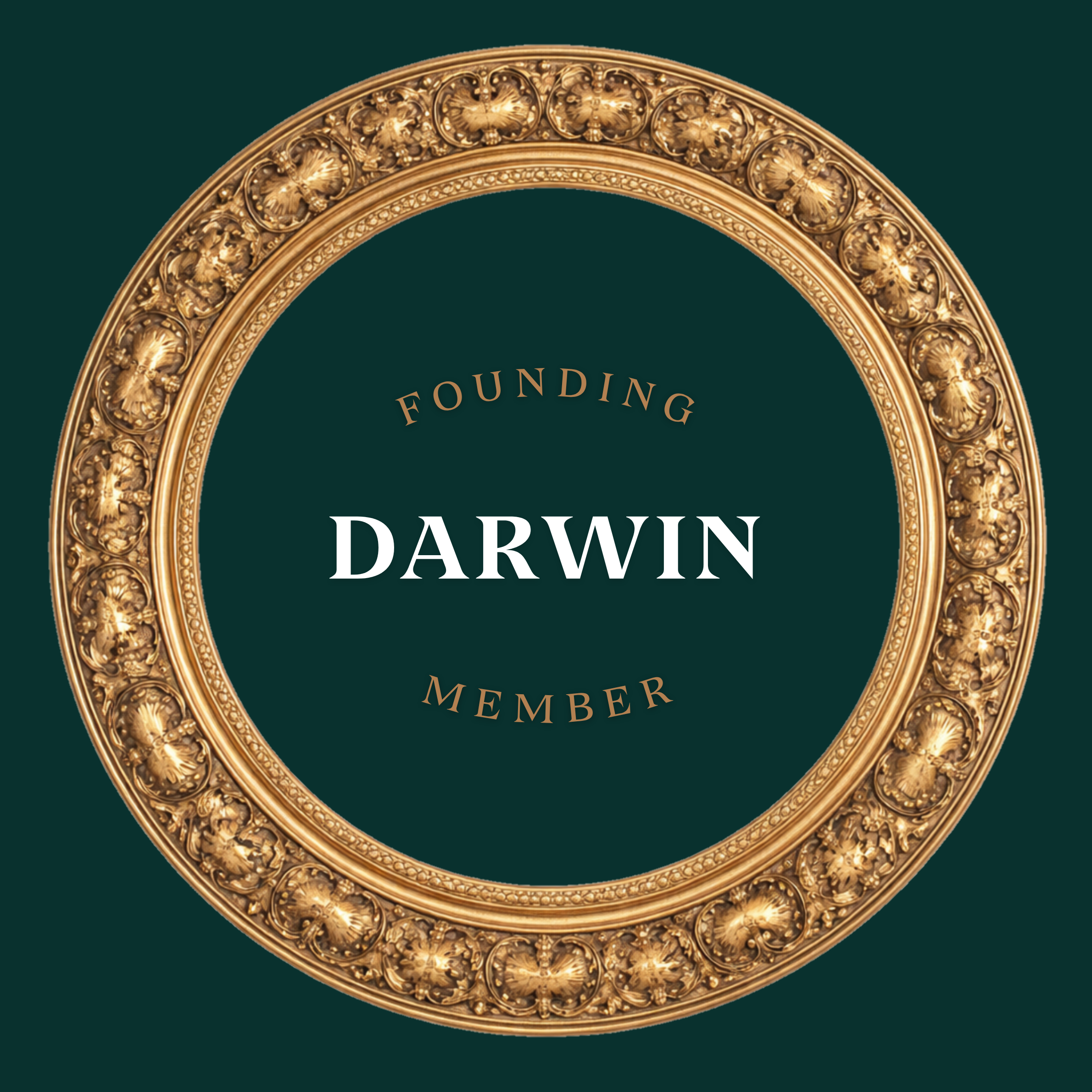 Chel’s Network - Darwin | Founding Member Access